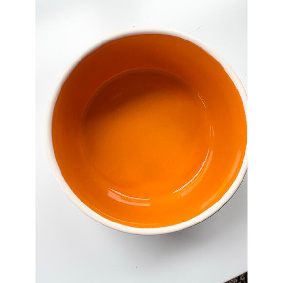 Rae Dunn Dog Bowl Woof Orange Lining Water Food Puppy Pets - Picture 3 of 5